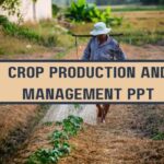 Crop Production and Management PPT image