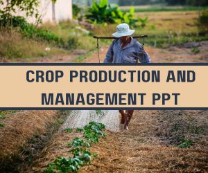 Crop Production and Management PPT image