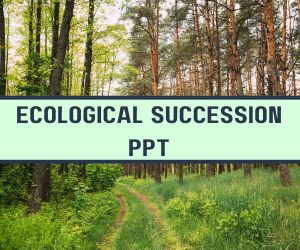 Ecological Succession PPT image