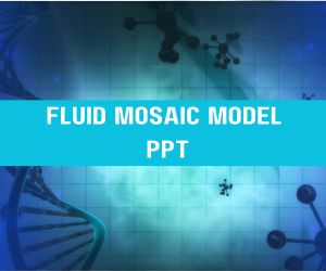 Fluid Mosaic Model PPT image