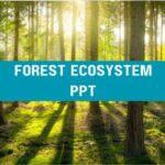 Forest Ecosystem PPT image