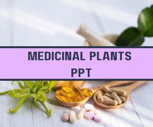 Medicinal Plants PPT image