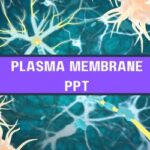 Plasma Membrane PPT image