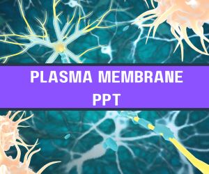 Plasma Membrane PPT image