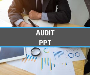 Audit PPT image