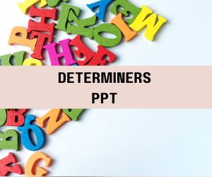 Determiners PPT image