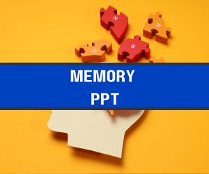 Memory PPT image