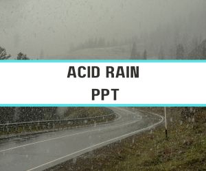 Acid Rain PPT image