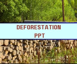 Deforestation PPT image