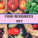 Food Resources PPT image