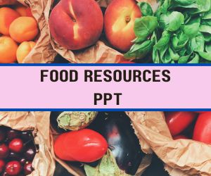 Food Resources PPT image