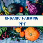 Organic Farming PPT image