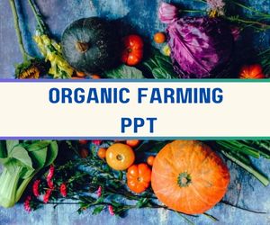 Organic Farming PPT image