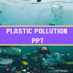 Plastic Pollution PPT image