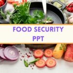 Food Security PPT image