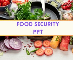 Food Security PPT image