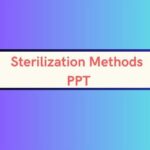 Sterilization Methods PPT image