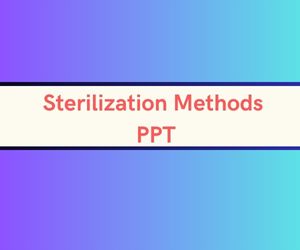 Sterilization Methods PPT image