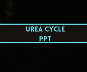 Urea Cycle PPT image