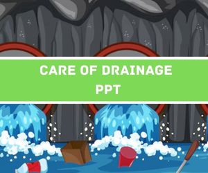 Care of Drainage PPT image