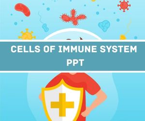 Cells Of Immune System PPT Presentation image