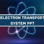 Electron Transport System PPT image