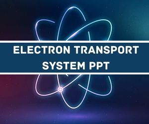 Electron Transport System PPT image