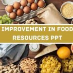 Improvement In Food Resources PPT image