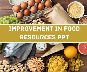 Improvement In Food Resources PPT image