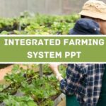 Integrated Farming System PPT image