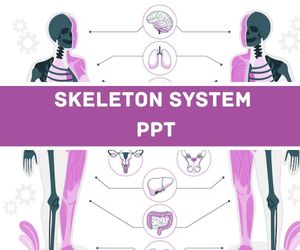 Skeletal System PPT image