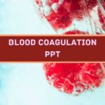 Blood Coagulation PPT presentation image