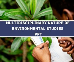 Multidisciplinary Nature Of Environmental Studies Ppt image