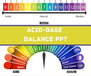 Acid Base Balance PPT image