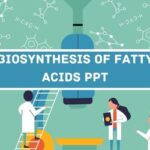 Biosynthesis Of Fatty Acids PPT image