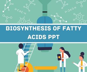 Biosynthesis Of Fatty Acids PPT image