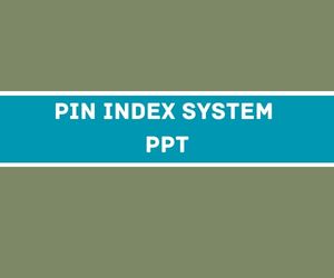 Pin Index System PPT image