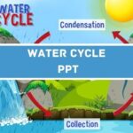 Water Cycle PPT image