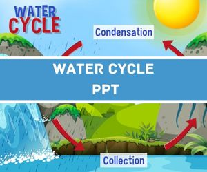 Water Cycle PPT image