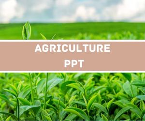 Agriculture PPT image