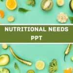 Nutritional Needs PPT image