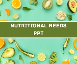 Nutritional Needs PPT image