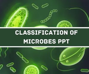 Classification Of Microbes PPT image