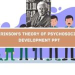 Erikson's Theory Of Psychosocial Development PPT image